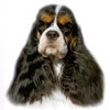 My-Ida-Ho Kennels